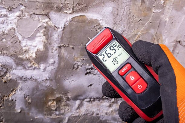 Best Office Mold Removal Services  in Big Spring, TX